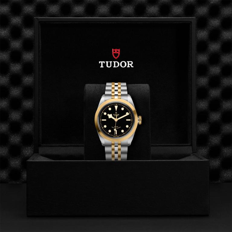 TUDOR Black Bay 41 S&G slide 1