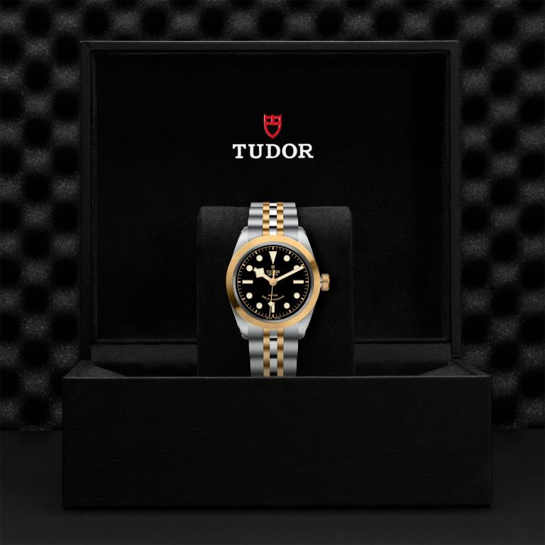 TUDOR Black Bay 36 S&G slide 1
