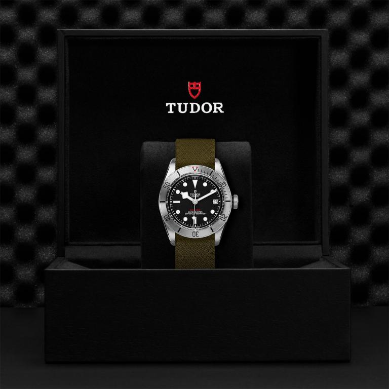 TUDOR Black Bay Steel slide 1