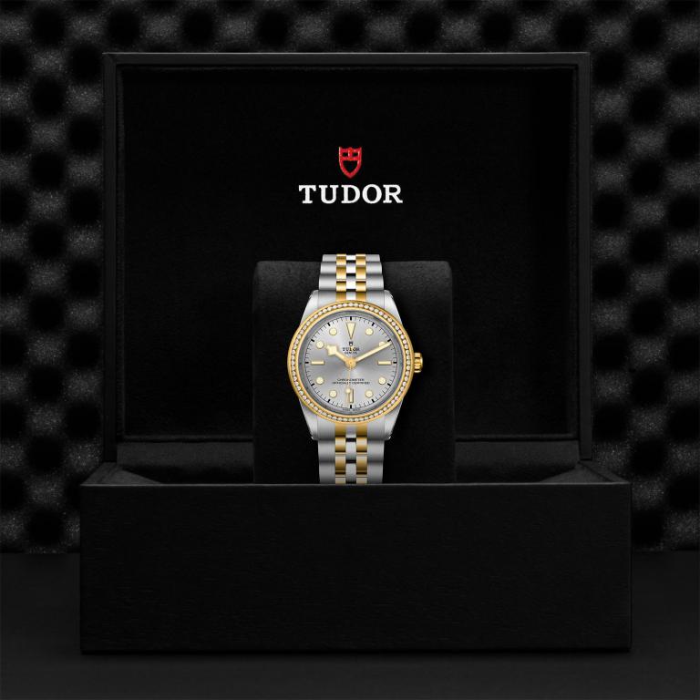 TUDOR Black Bay 39 S&G slide 1