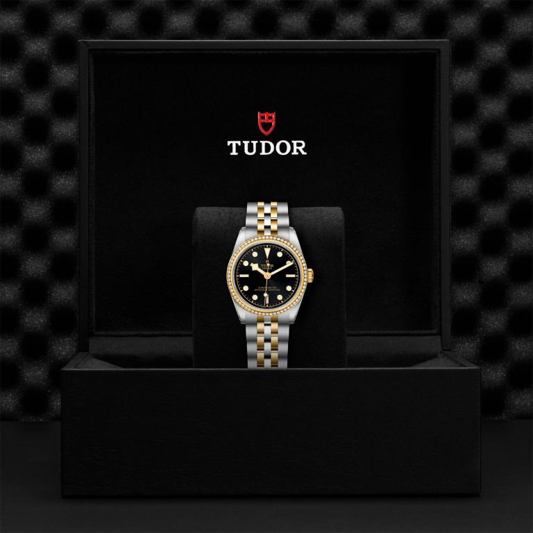 TUDOR Black Bay 31 S&G slide 1