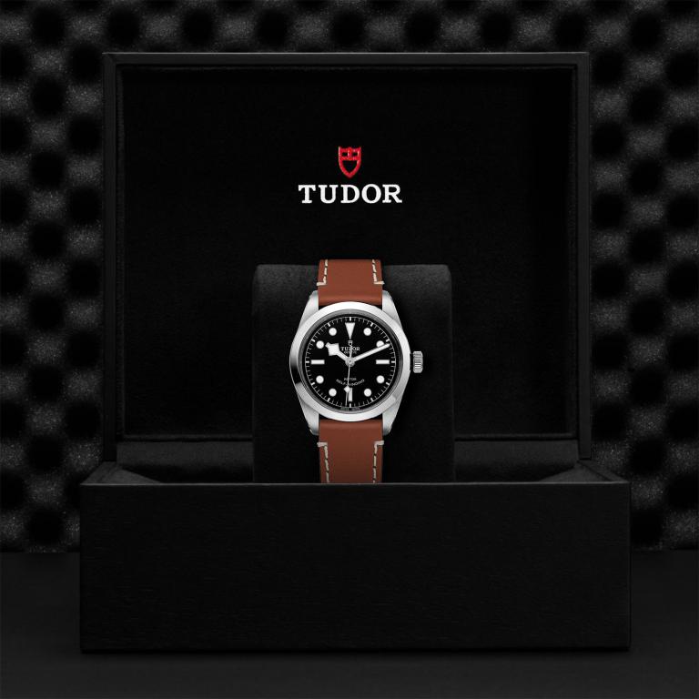 TUDOR Black Bay 36 slide 1