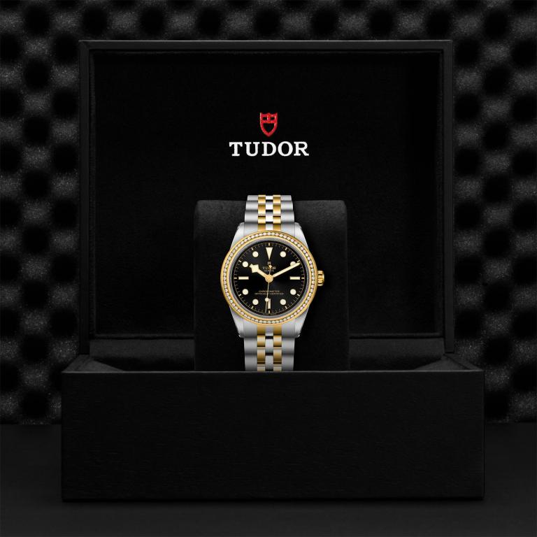 TUDOR Black Bay 39 S&G slide 1