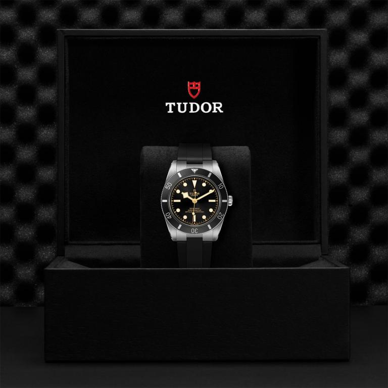 TUDOR Black Bay 54 slide 1