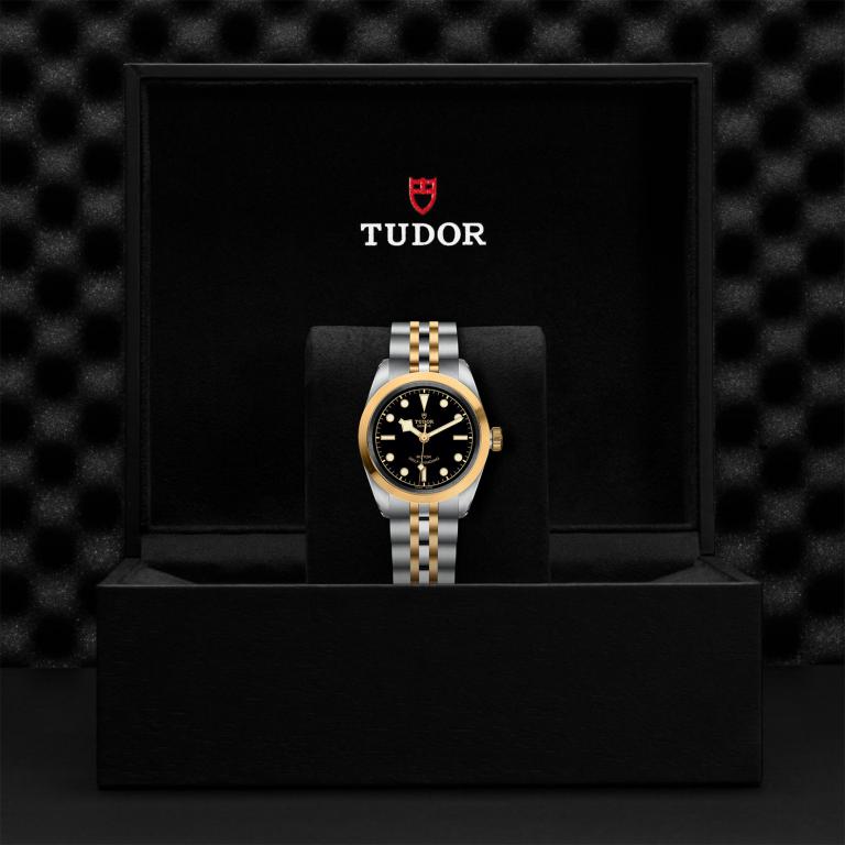 TUDOR Black Bay 32 S&G slide 1