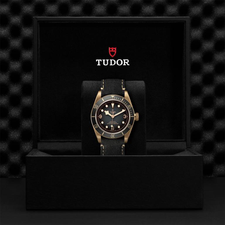 TUDOR Black Bay Bronze slide 1
