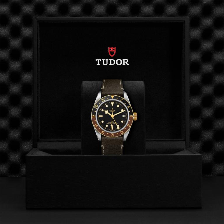TUDOR Black Bay GMT S&G slide 1