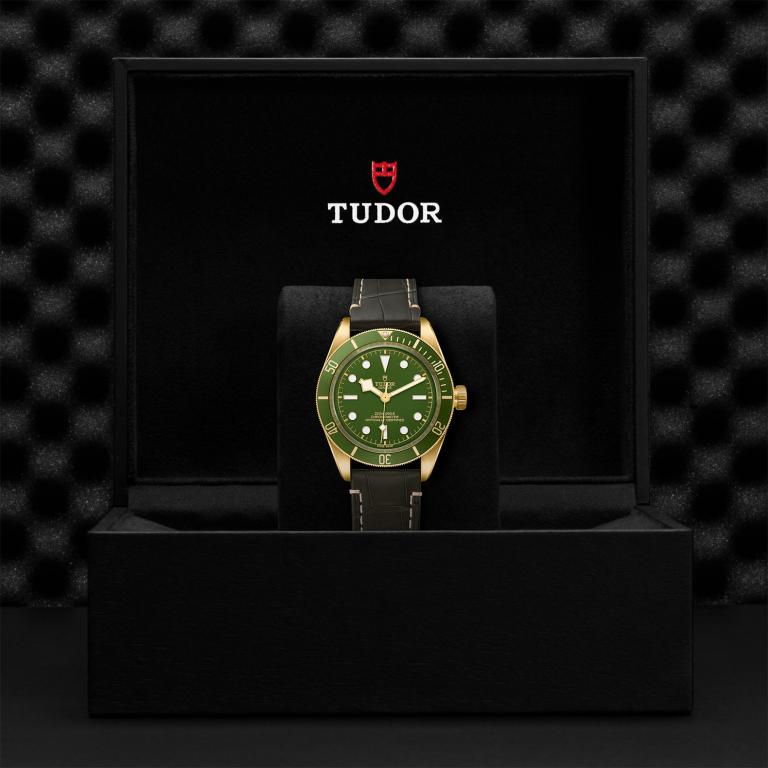 TUDOR Black Bay Fifty-Eight 18k slide 1