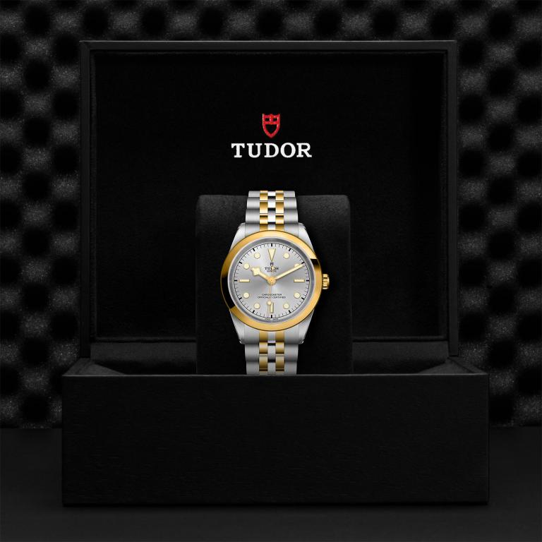 TUDOR Black Bay 41 S&G slide 1