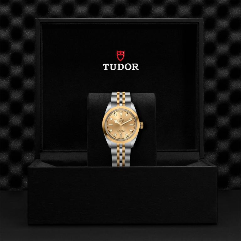 TUDOR Black Bay 32 S&G slide 1