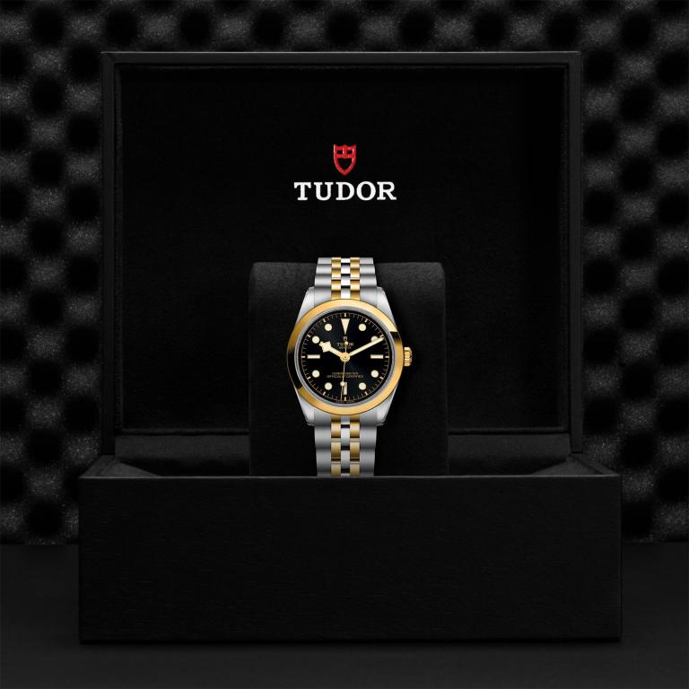 TUDOR Black Bay 36 S&G slide 1