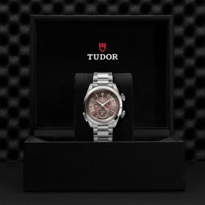 TUDOR Heritage Advisor thumb 1