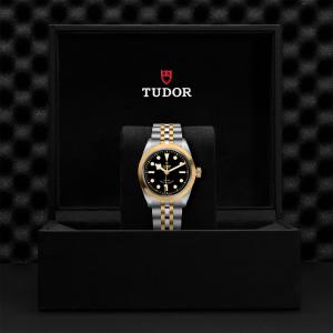 TUDOR Black Bay 36 S&G thumb 1