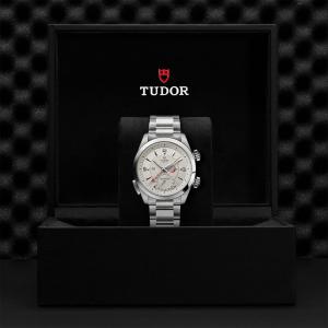 TUDOR Heritage Advisor thumb 1