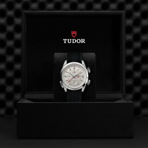 TUDOR Heritage Advisor thumb 1