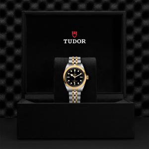 TUDOR Black Bay 32 S&G thumb 1