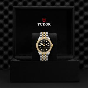 TUDOR Black Bay 39 S&G thumb 1