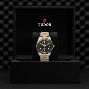 TUDOR Black Bay S&G thumb 1