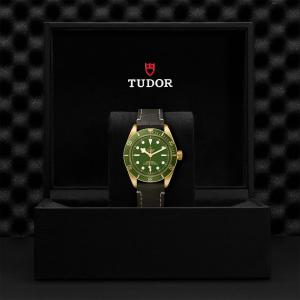 TUDOR Black Bay Fifty-Eight 18k thumb 1