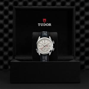 TUDOR Heritage Advisor thumb 1