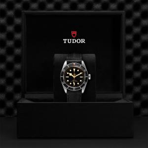 TUDOR Black Bay thumb 1