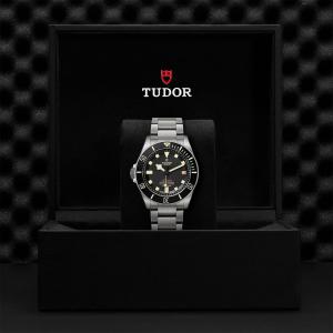 TUDOR Pelagos LHD thumb 1