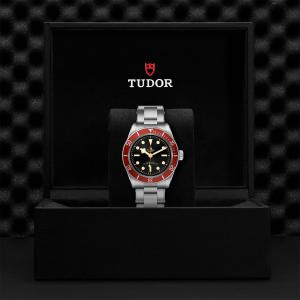 TUDOR Black Bay thumb 1
