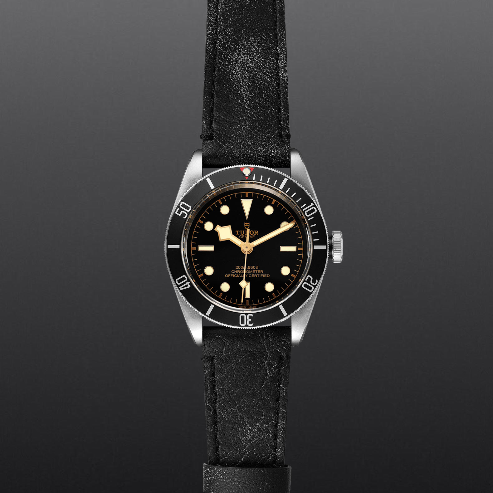TUDOR Black Bay