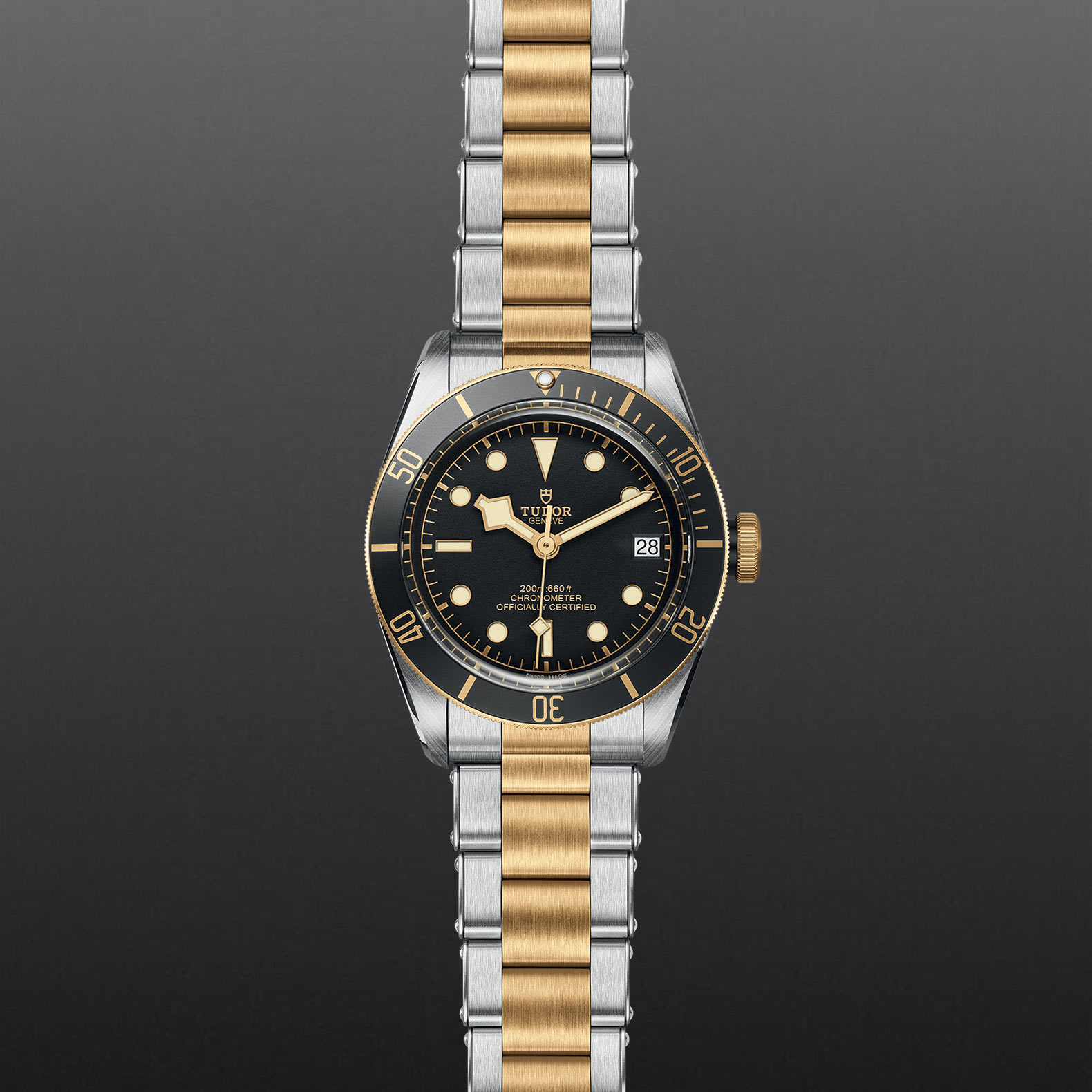 TUDOR Black Bay S&G