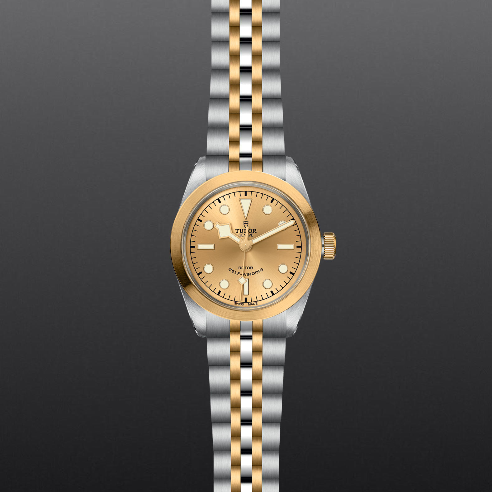 TUDOR Black Bay 36 S&G