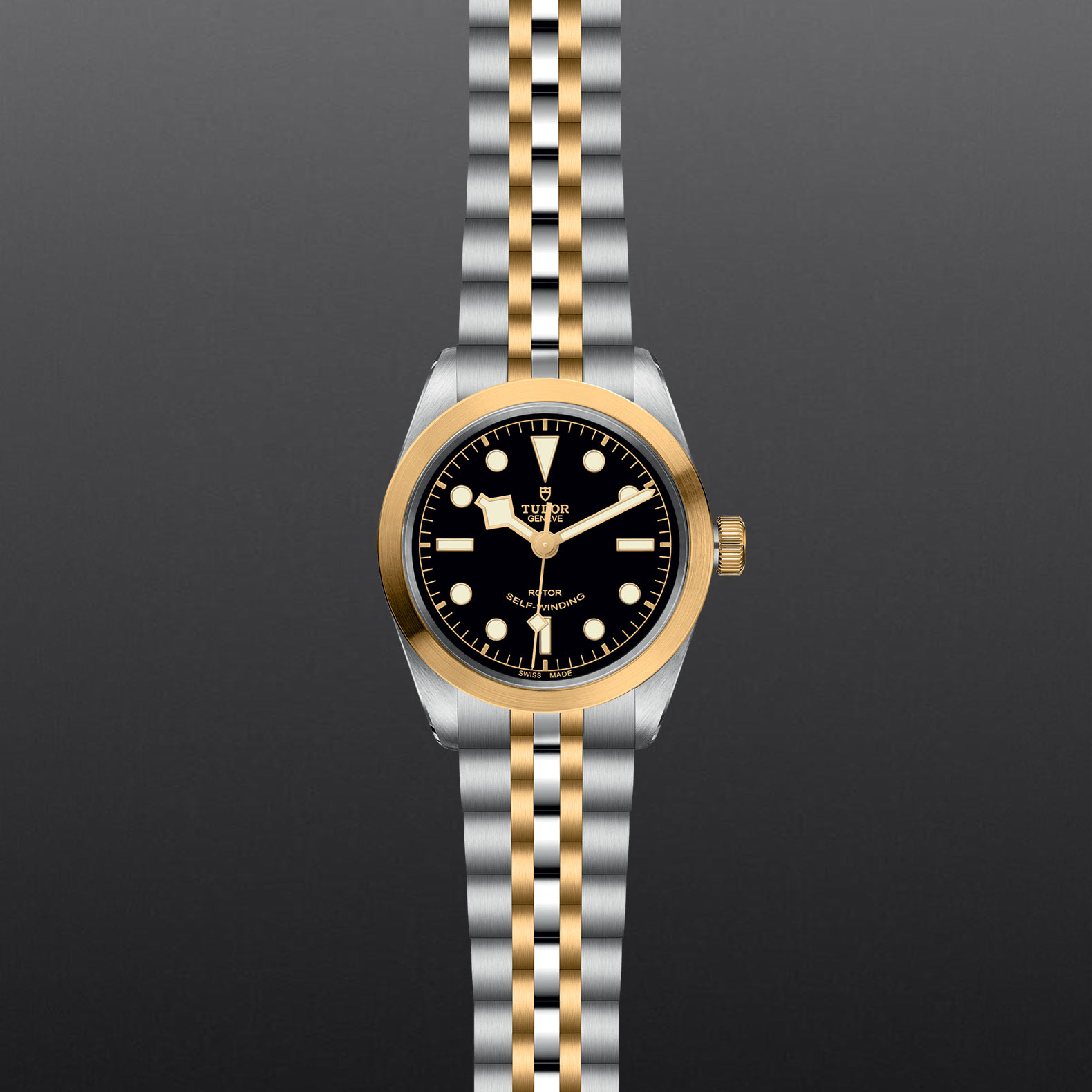 TUDOR Black Bay 36 S&G