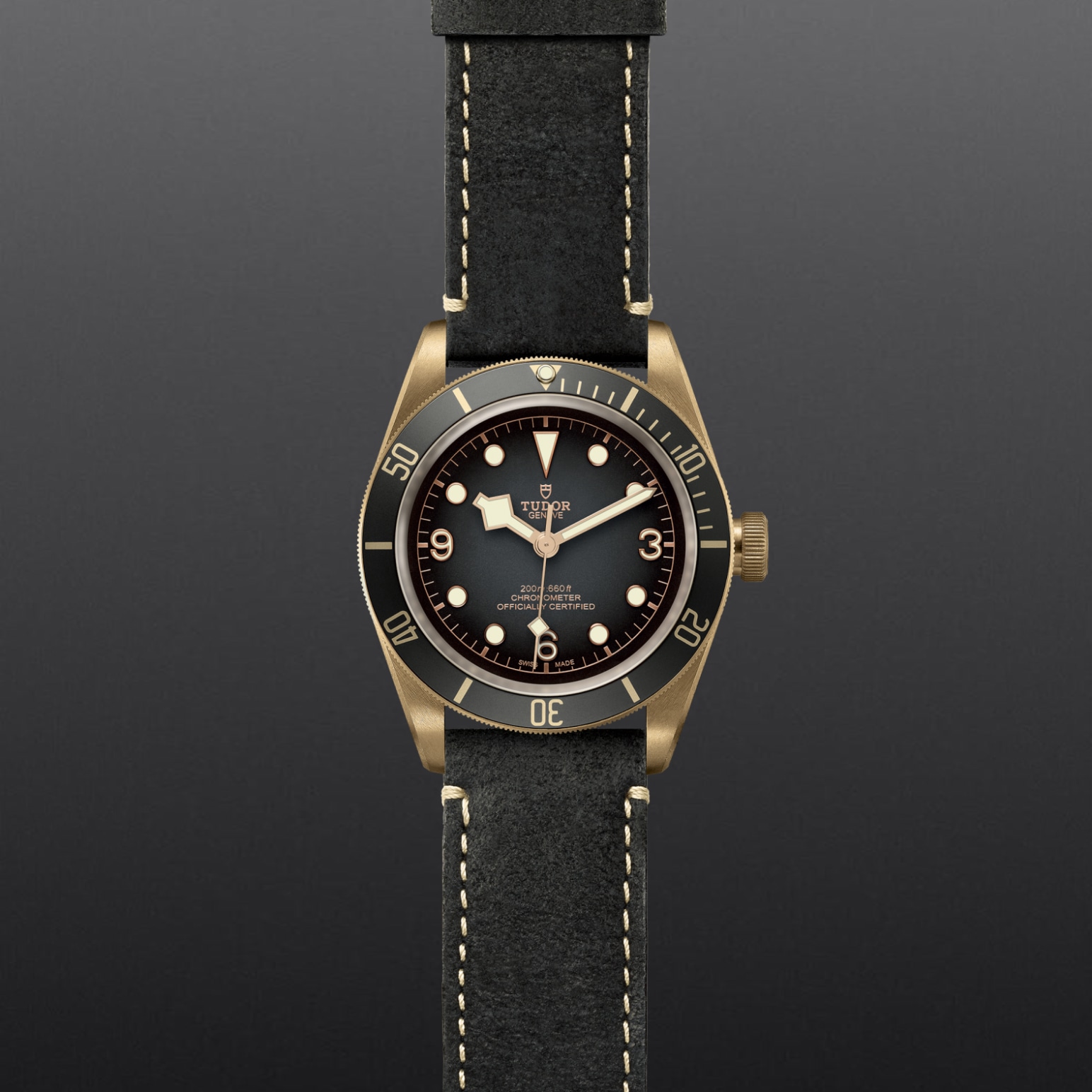 Black Bay Bronze